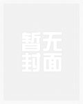 海贼之非限制性变身